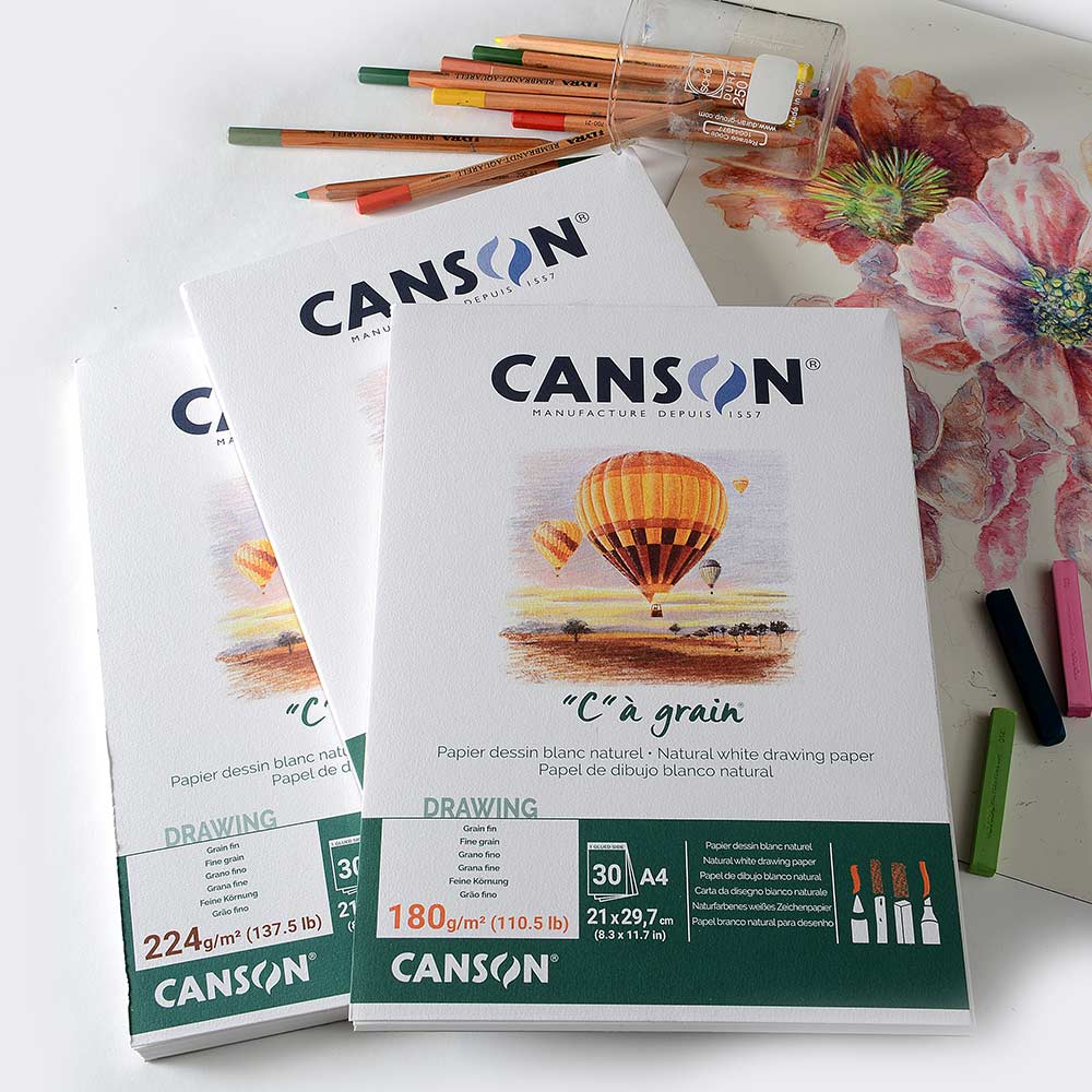 Papier Dessin Canson Grain C - 180 G/m² Format A4+ - Lot De 12 Feuilles Pour Encre, Gouache, Feutre - 9