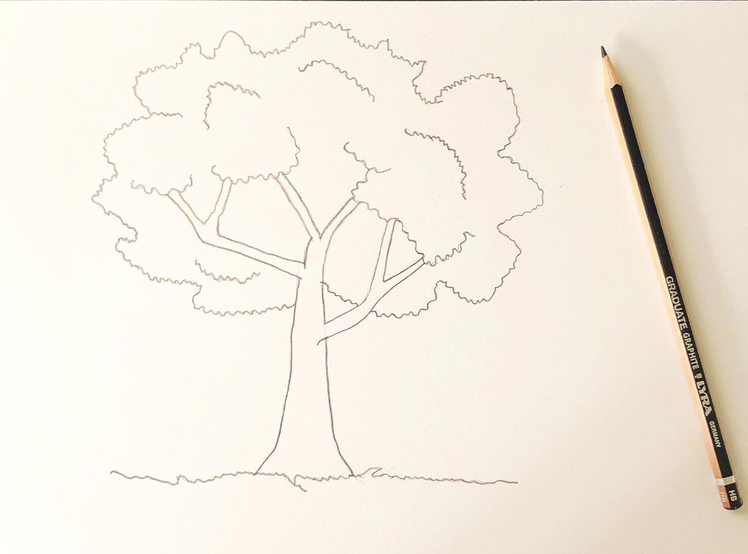 Apprendre à dessiner un arbre en 3 étapes