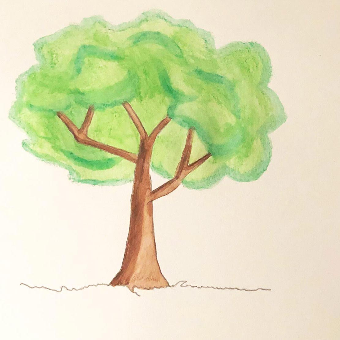 Dessiner Un Arbre Canson Dessiner Un Arbre Canson