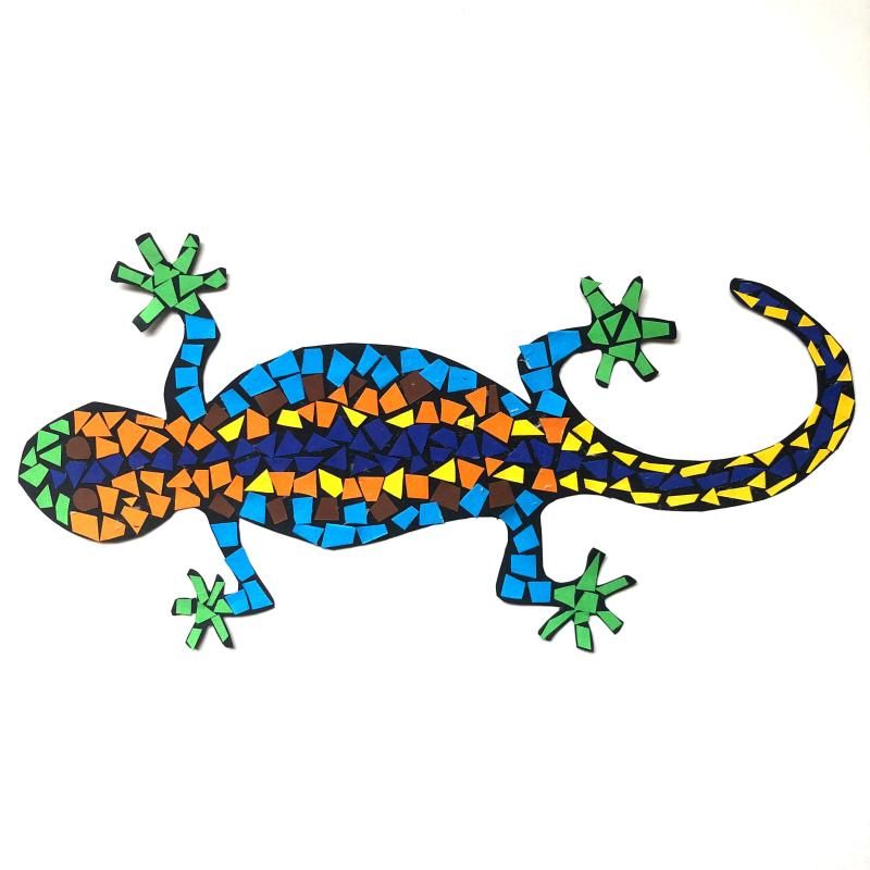 Comment dessiner des animaux - La Salamandre