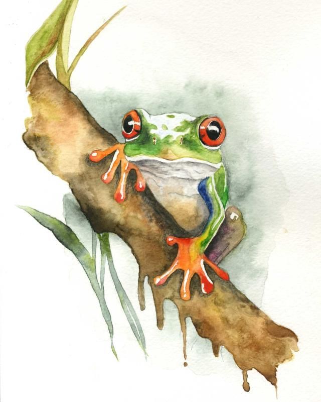 Canson Watercolour contest