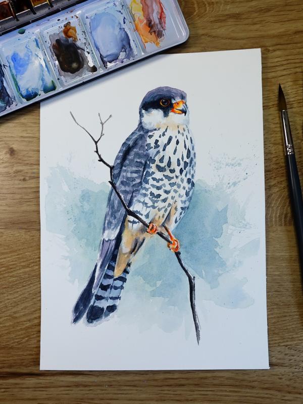 Canson Watercolour contest