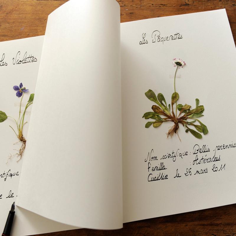Cahier Herbier Canson