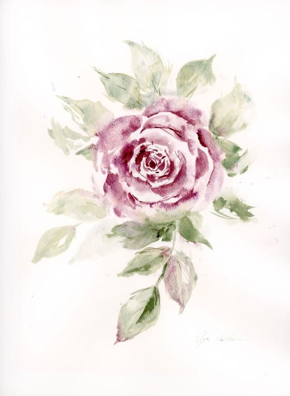 Watercolour on Canson paper / © Olga Koelsch 