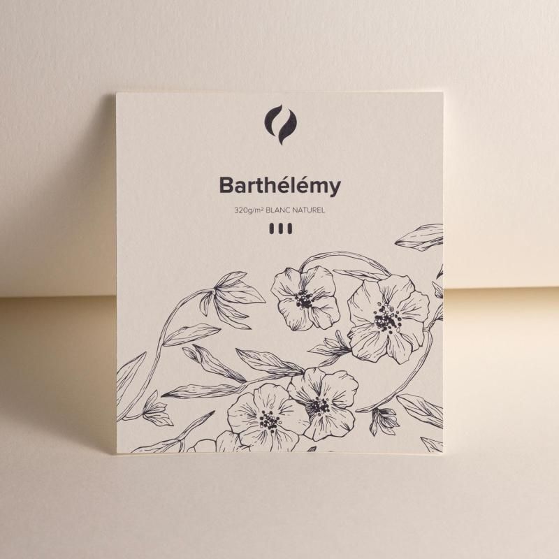 Barthélémy papier Canson Packaging