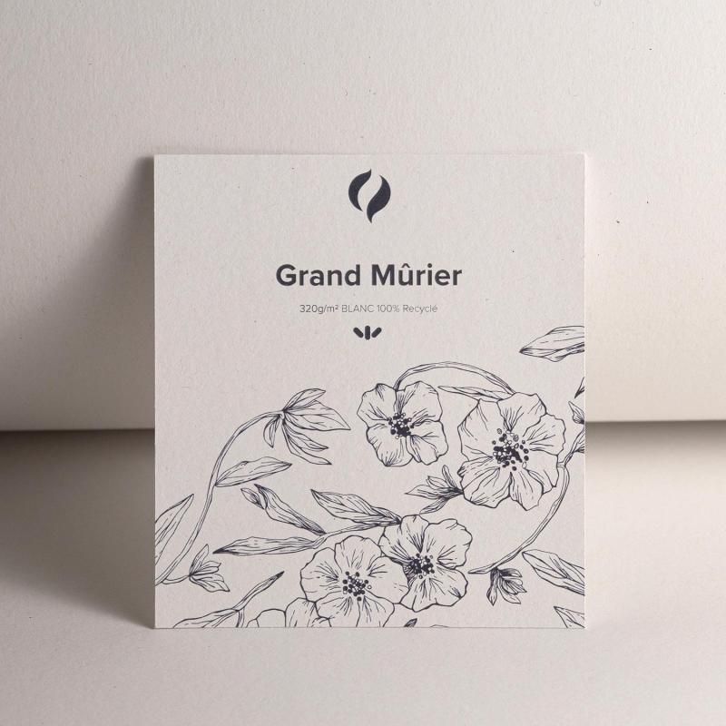 Grand Murier papier Packaging Canson