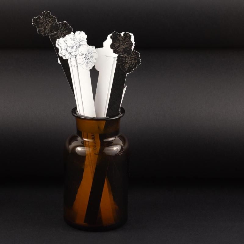 Numéro 7 papier Packaging Canson